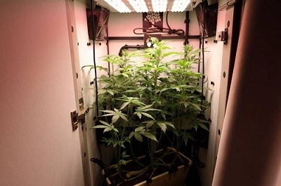 Тайные увлечения горожан