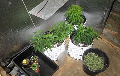 Сбытчики и потребители